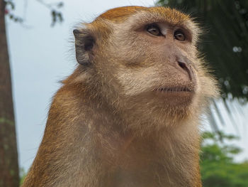 Close-up of face looking away