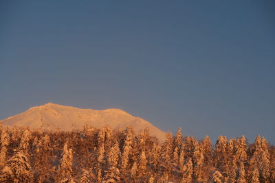 Scenic view of mountains against clear blue sky