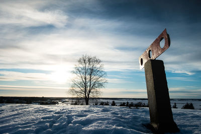 Bare tree on snow covered field against sky