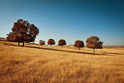 Scenic view of field against cloudy sky