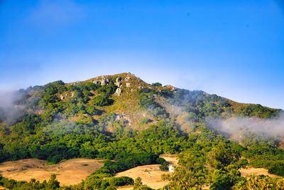 environment
