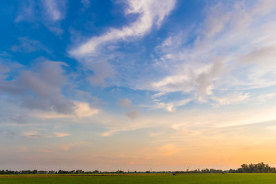 Scenic view of field against sky during sunset