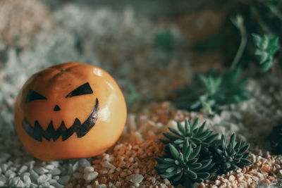 High angle view of pumpkin on stone during halloween