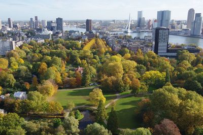 View of trees with city in background