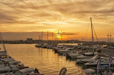 Sailboats in marina at sunset