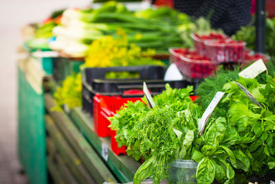 Close-up of leaf vegetable at market stall