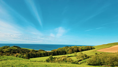 Scenic view of landscape against sky