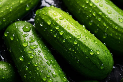 Close-up of cucumber