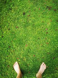 Low section of person standing on grass