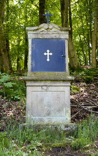 Information sign on tree trunk in forest