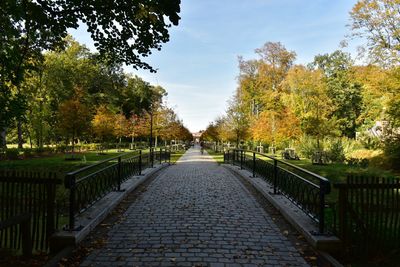 Footpath amidst trees in park during autumn