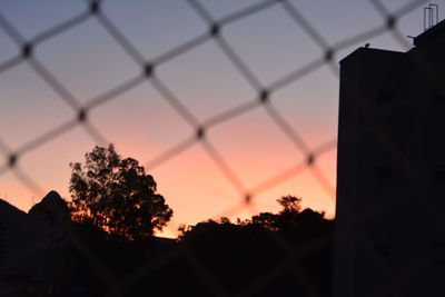 Low angle view of silhouette trees against sky during sunset