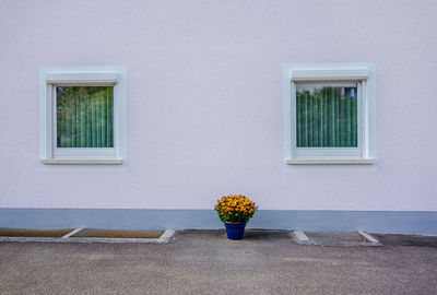 Close-up of windows