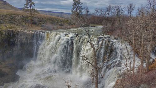 Close-up of waterfall against trees