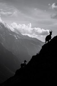 Silhouette of horse on rock against sky