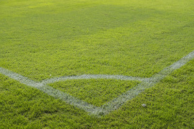 Full frame shot of green field