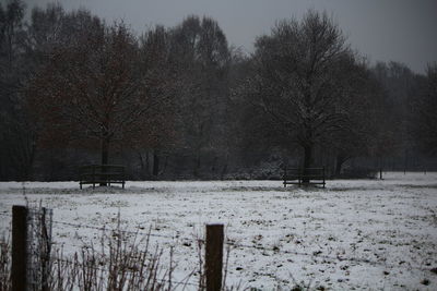 Frozen trees on field against sky during winter