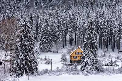 Snow covered field