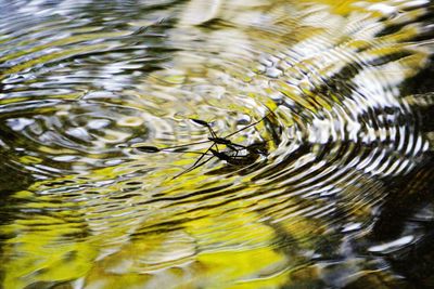 Full frame shot of rippled water
