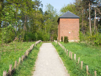 Footpath amidst trees and buildings