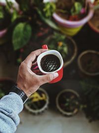 Directly above shot of woman holding tea cup