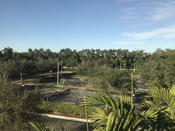 Trees growing on field against sky