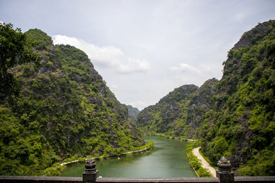 Scenic view of river amidst trees against sky