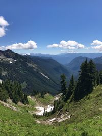 Scenic view of forest and mountains against sky