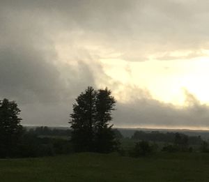 Trees on field against cloudy sky