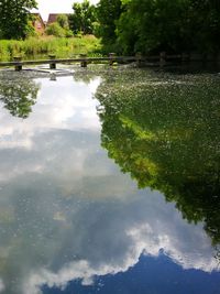 Reflection of trees in puddle