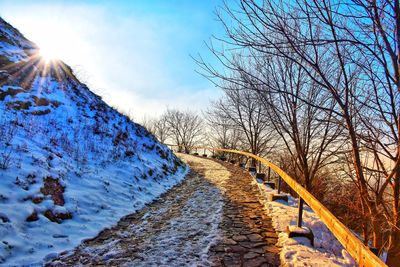 Bare trees on snow covered landscape