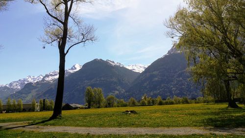 Scenic view of field against sky