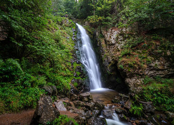 Scenic view of waterfall in forest