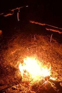 Close-up of bonfire at night