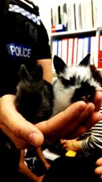 Cropped image of policeman holding cute bunnies