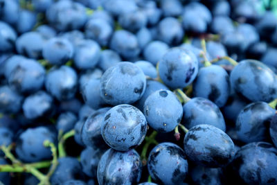 Full frame shot of blueberries