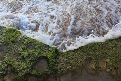 High angle view of beach