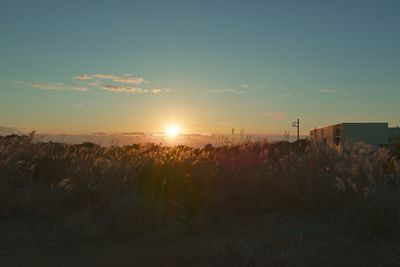 Scenic view of landscape against sky during sunset