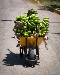 Wheelbarrow full of bananas with the day's harvest on a small farm in south america