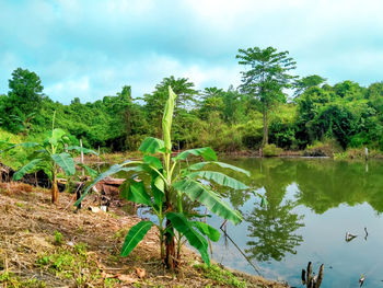 Scenic view of lake against sky