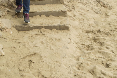 Low section of person standing on beach