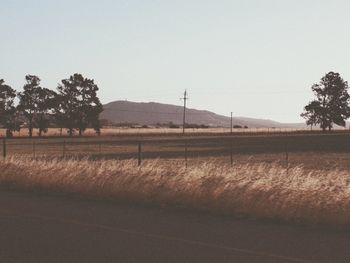 Scenic view of field against clear sky