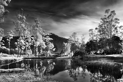 Scenic view of lake by trees against sky