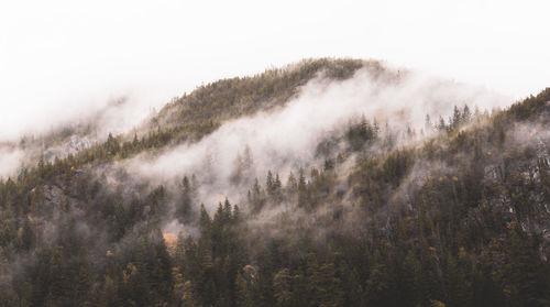 Scenic view of tree mountains during foggy weather
