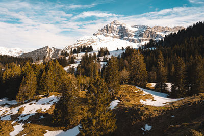 Scenic view of snowcapped mountains against sky