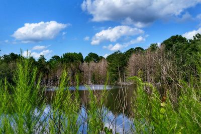 Scenic view of lake against sky