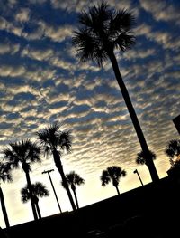 Low angle view of silhouette palm trees against sky