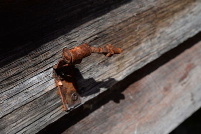 Close-up of rusty metal on wood