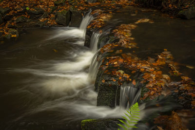 Scenic view of waterfall in forest