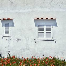 House against white wall and window